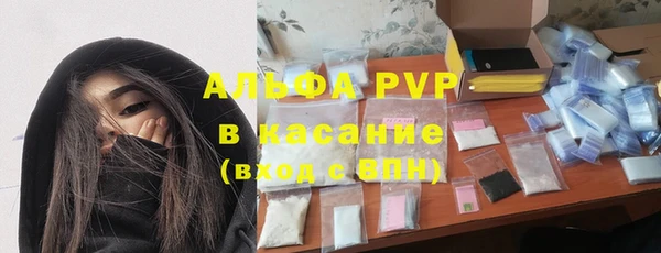 сатива Лабытнанги