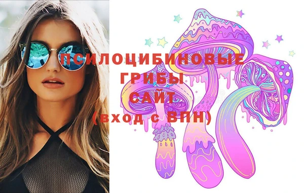 сатива Лабытнанги