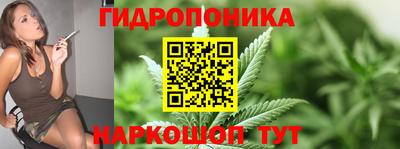 гашик Дубна