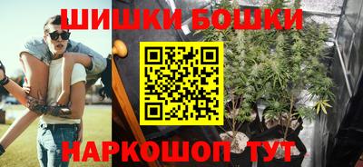 гашик Дубна
